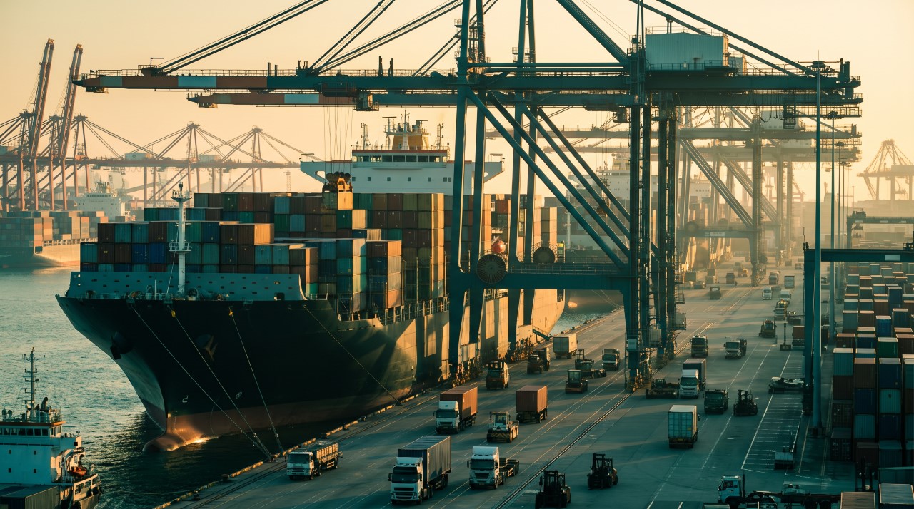 BOROEXIM Global Trade